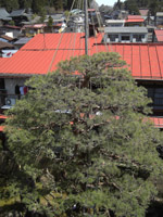 grp0408113903.jpg 150×200 37K grp0408113903.jpg 150×200 37K