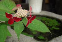 grp0705155535.jpg 200×135 27K grp0705155535.jpg 200×135 27K