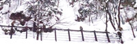 grp0103104304.jpg 20066 25K