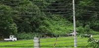 grp0917103757.jpg 20097 29K