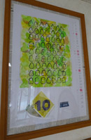 grp1004144556.jpg 130199 33K